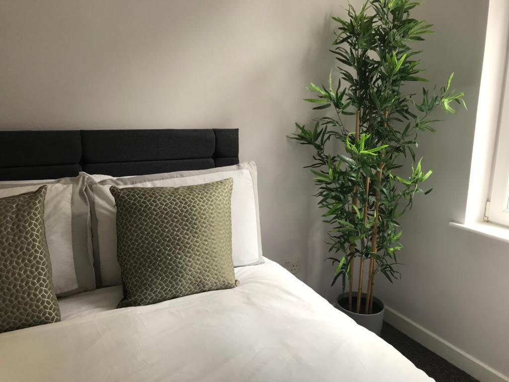 1Bed Golfhill Cottage ダンブレーン エクステリア 写真